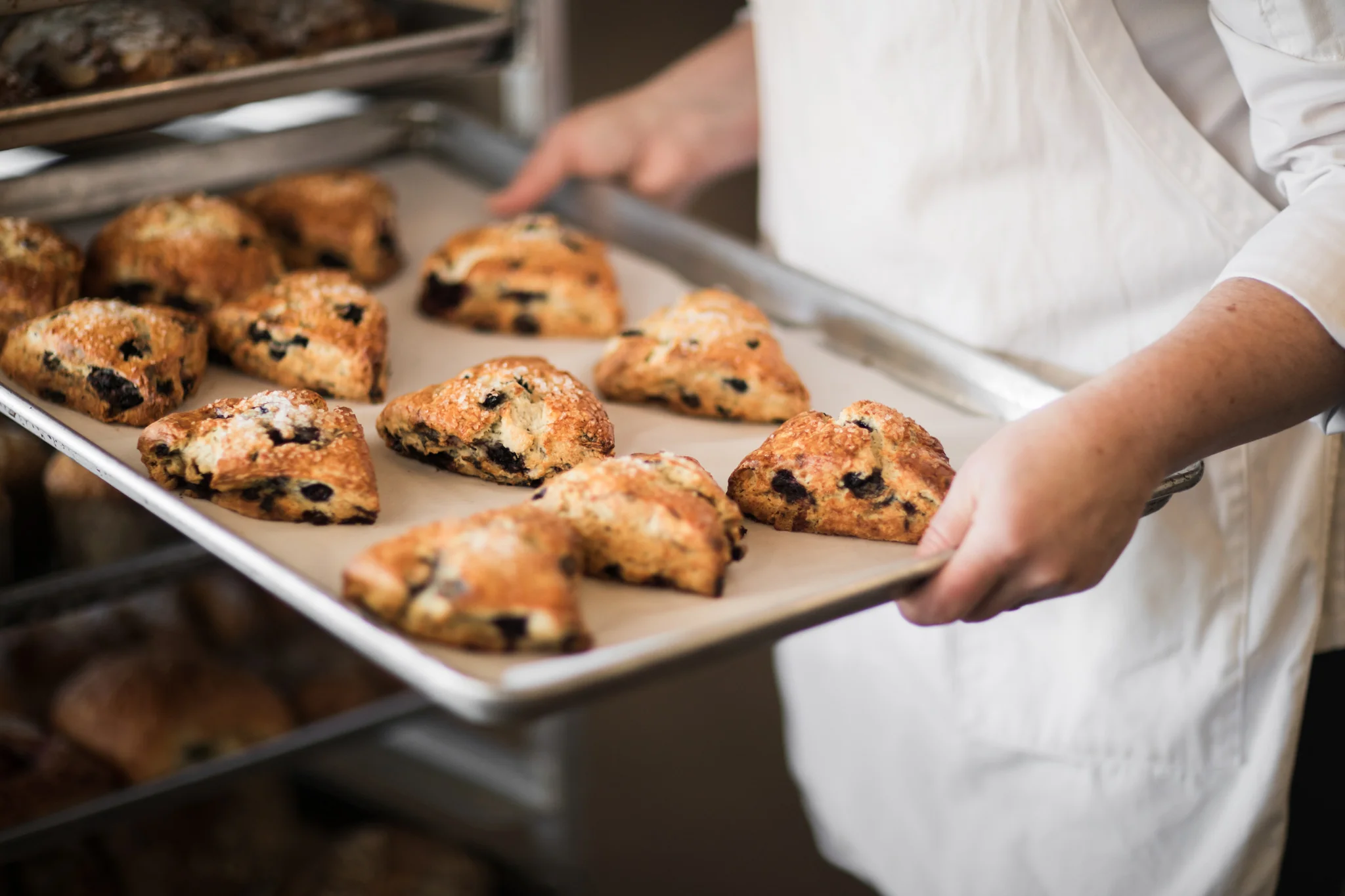 Handcrafted Flavors From Sonoma County